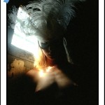 Documents 073