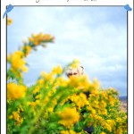 Documents 078