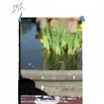 Documents 376