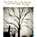 Documents 378