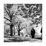 Untitled-1